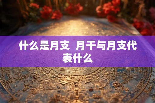 什么是月支  月干与月支代表什么