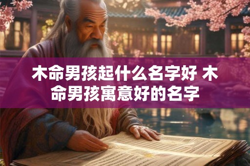木命男孩起什么名字好 木命男孩寓意好的名字