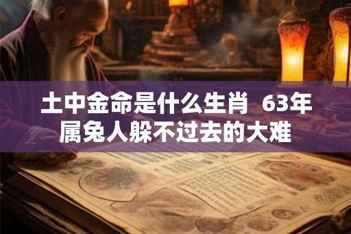 土中金命是什么生肖  63年属兔人躲不过去的大难
