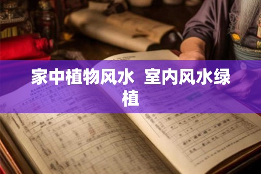 家中植物风水  室内风水绿植