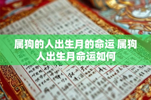 属狗的人出生月的命运 属狗人出生月命运如何