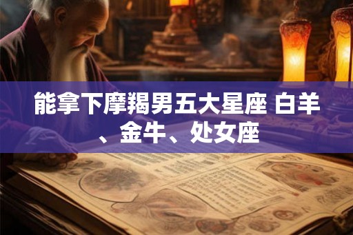 能拿下摩羯男五大星座 白羊、金牛、处女座 能拿下摩羯男五大星座 白羊、金牛、处女座