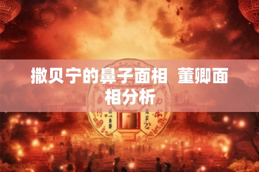 撒贝宁的鼻子面相  董卿面相分析
