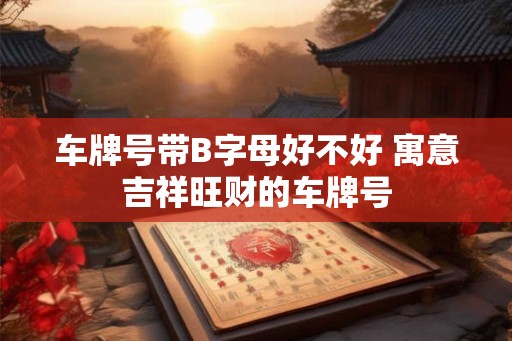 车牌号带B字母好不好 寓意吉祥旺财的车牌号