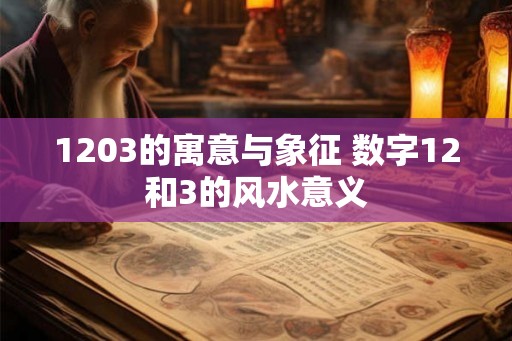 1203的寓意与象征 数字12和3的风水意义 1203的寓意与象征 数字12和3的风水意义