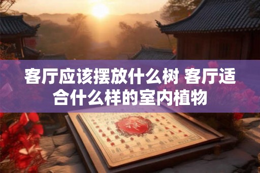 客厅应该摆放什么树 客厅适合什么样的室内植物