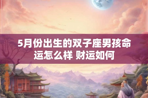 5月份出生的双子座男孩命运怎么样 财运如何