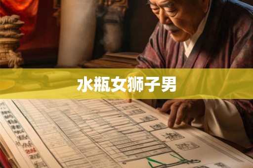 水瓶女狮子男