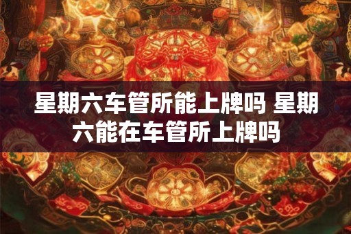 星期六车管所能上牌吗 星期六能在车管所上牌吗