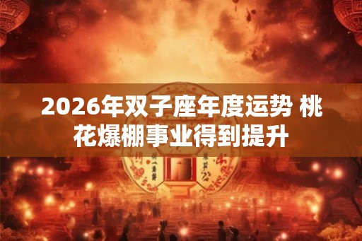 2026年双子座年度运势 桃花爆棚事业得到提升