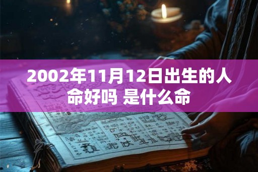 2002年11月12日出生的人命好吗 是什么命