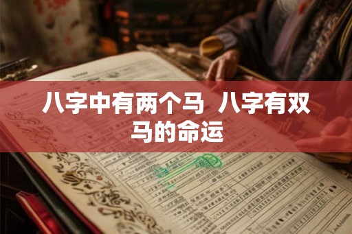 八字中有两个马  八字有双马的命运
