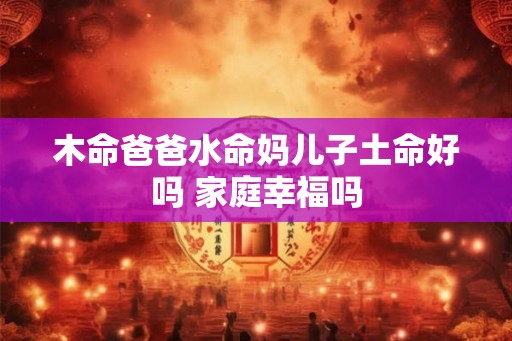 木命爸爸水命妈儿子土命好吗 家庭幸福吗