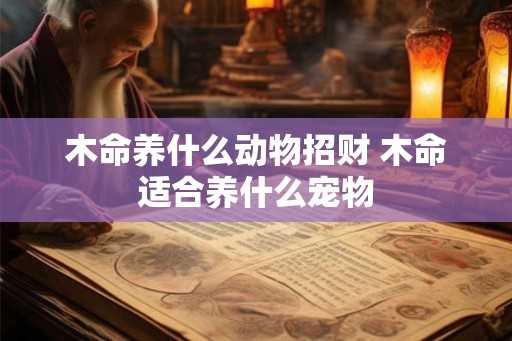 木命养什么动物招财 木命适合养什么宠物