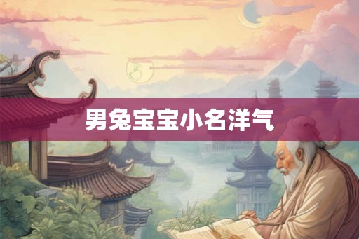 男兔宝宝小名洋气