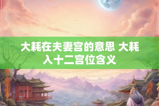大耗在夫妻宫的意思 大耗入十二宫位含义