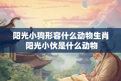 阳光小狗形容什么动物生肖 阳光小伙是什么动物