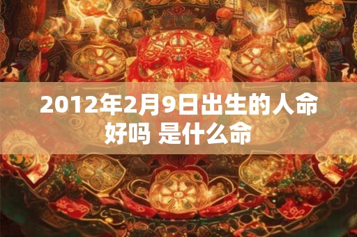 2012年2月9日出生的人命好吗 是什么命