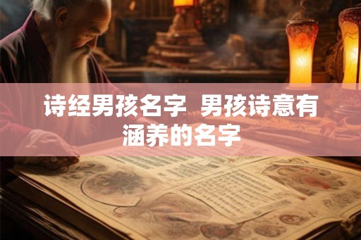 诗经男孩名字  男孩诗意有涵养的名字