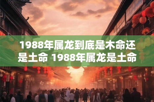1988年属龙到底是木命还是土命 1988年属龙是土命还是木命
