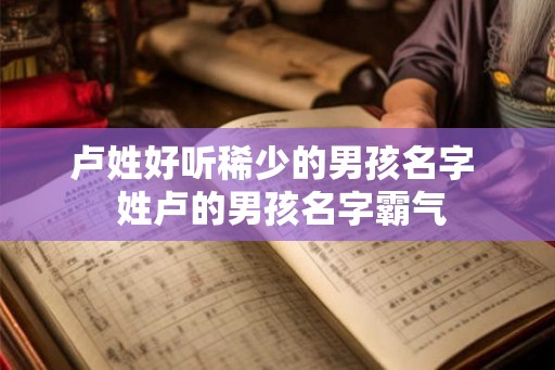 卢姓好听稀少的男孩名字  姓卢的男孩名字霸气