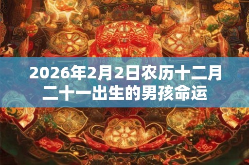 2026年2月2日农历十二月二十一出生的男孩命运