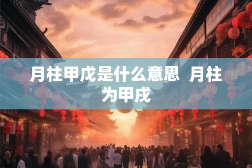 月柱甲戊是什么意思  月柱为甲戌