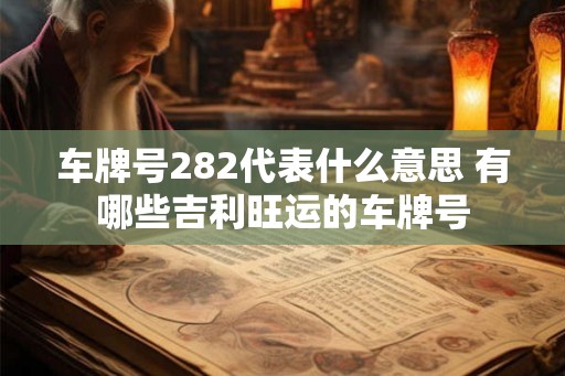 车牌号282代表什么意思 有哪些吉利旺运的车牌号
