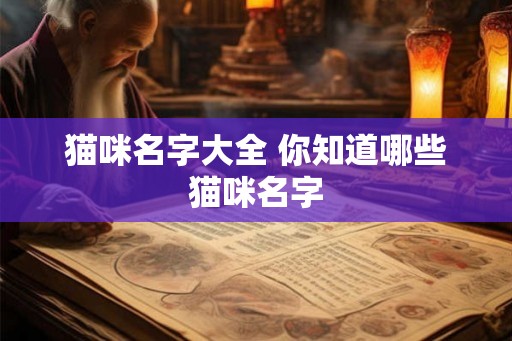 猫咪名字大全 你知道哪些猫咪名字