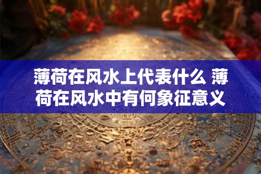 薄荷在风水上代表什么 薄荷在风水中有何象征意义 薄荷在风水上代表什么 薄荷在风水中有何象征意义