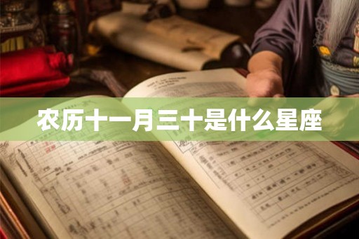 农历十一月三十是什么星座 农历十一月三十是什么星座