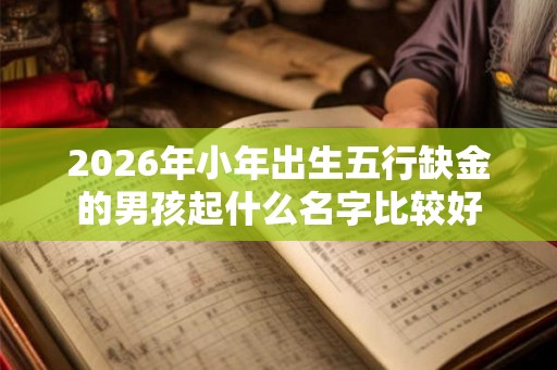 2026年小年出生五行缺金的男孩起什么名字比较好