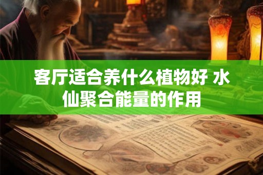 客厅适合养什么植物好 水仙聚合能量的作用 客厅适合养什么植物好 水仙聚合能量的作用