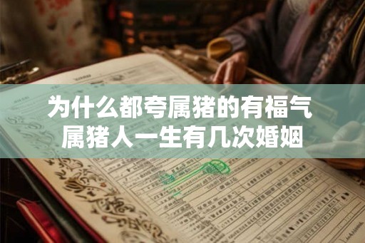 为什么都夸属猪的有福气 属猪人一生有几次婚姻