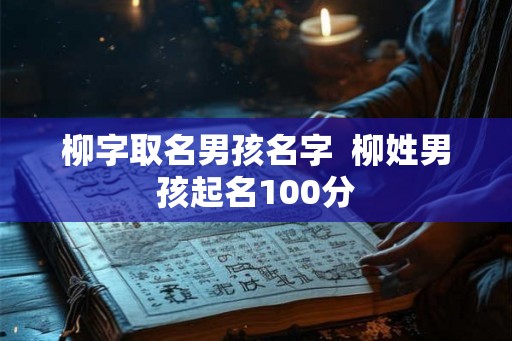 柳字取名男孩名字  柳姓男孩起名100分