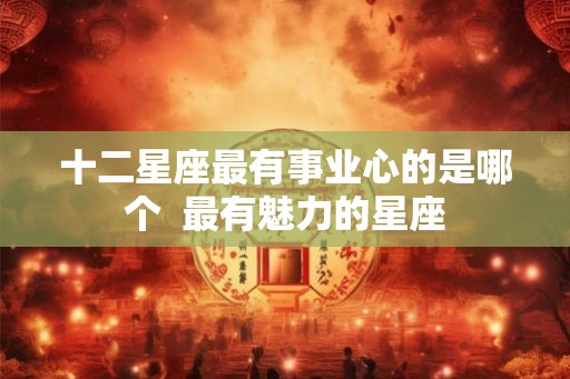 十二星座最有事业心的是哪个  最有魅力的星座