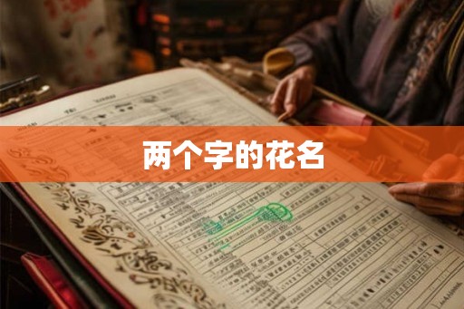 两个字的花名