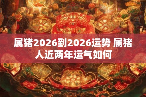 属猪2026到2026运势 属猪人近两年运气如何