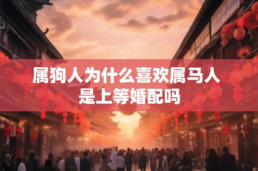 属狗人为什么喜欢属马人 是上等婚配吗