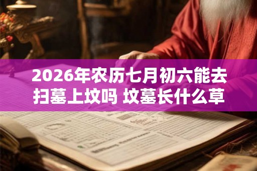 2026年农历七月初六能去扫墓上坟吗 坟墓长什么草后人发财 2026年农历七月初六能去扫墓上坟吗 坟墓长什么草后人发财