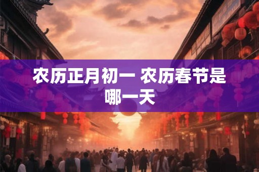 农历正月初一 农历春节是哪一天
