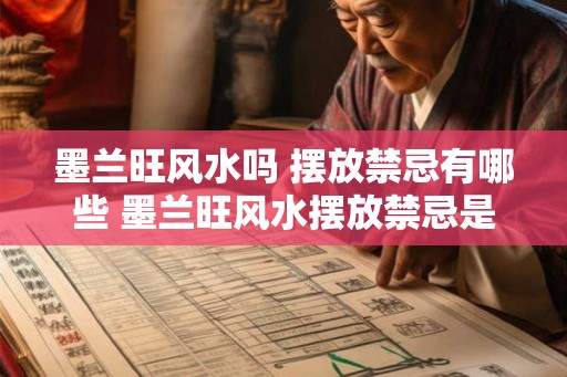 墨兰旺风水吗 摆放禁忌有哪些 墨兰旺风水摆放禁忌是什么