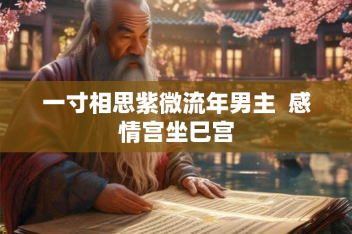 一寸相思紫微流年男主  感情宫坐巳宫