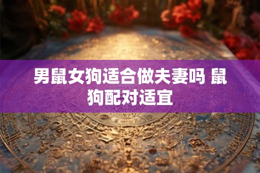 男鼠女狗适合做夫妻吗 鼠狗配对适宜