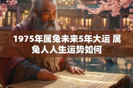 1975年属兔未来5年大运 属兔人人生运势如何