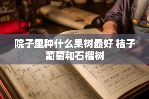 院子里种什么果树最好 桔子葡萄和石榴树