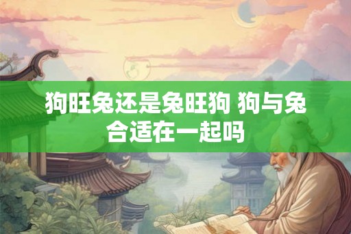 狗旺兔还是兔旺狗 狗与兔合适在一起吗