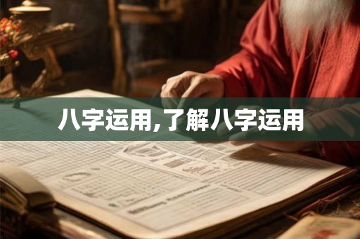 八字运用,了解八字运用
