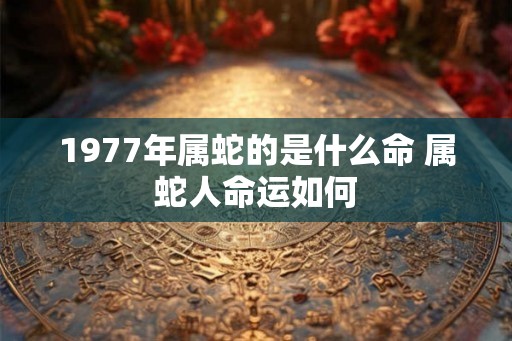 1977年属蛇的是什么命 属蛇人命运如何 1977年属蛇的是什么命 属蛇人命运如何