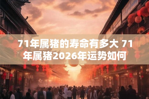 71年属猪的寿命有多大 71年属猪2026年运势如何